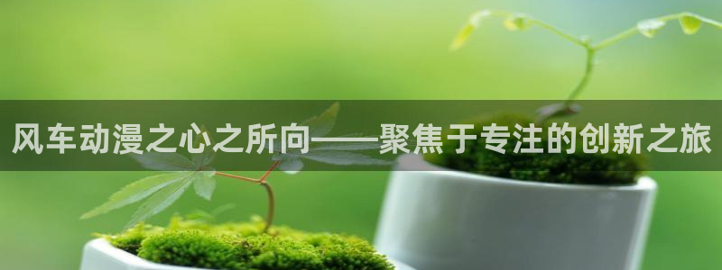 樱花动漫手机网：风车动漫之心之所向——聚焦于专注的创新之旅