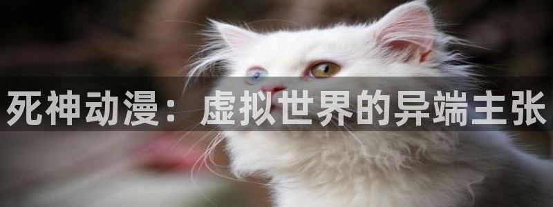 樱花动漫在线观看免费全集：死神动漫：虚拟世界的异端主张